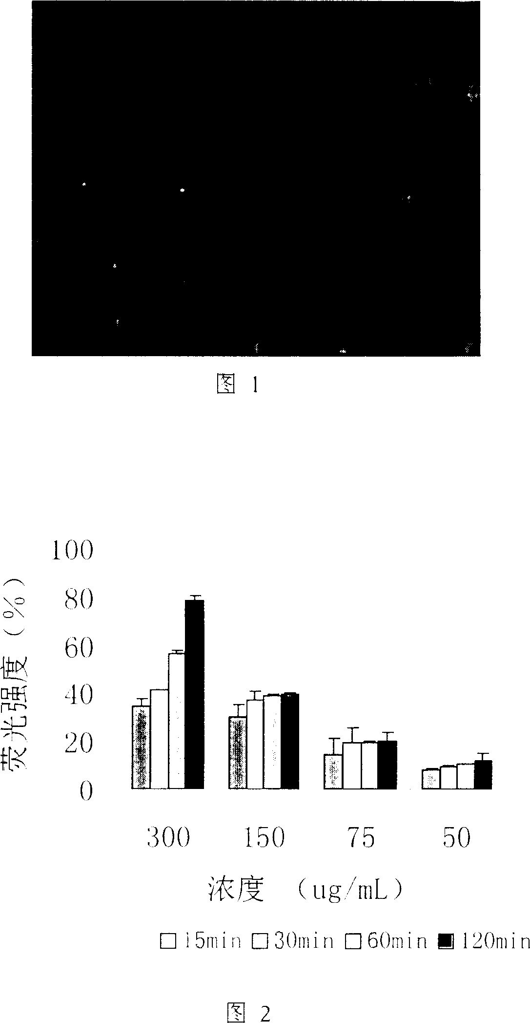 Fluorescence labeling hydrophobic modified chitin polymer, its preparation method and application