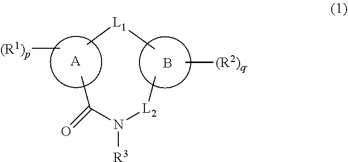 Macrolide derivatives, preparation method and application thereof