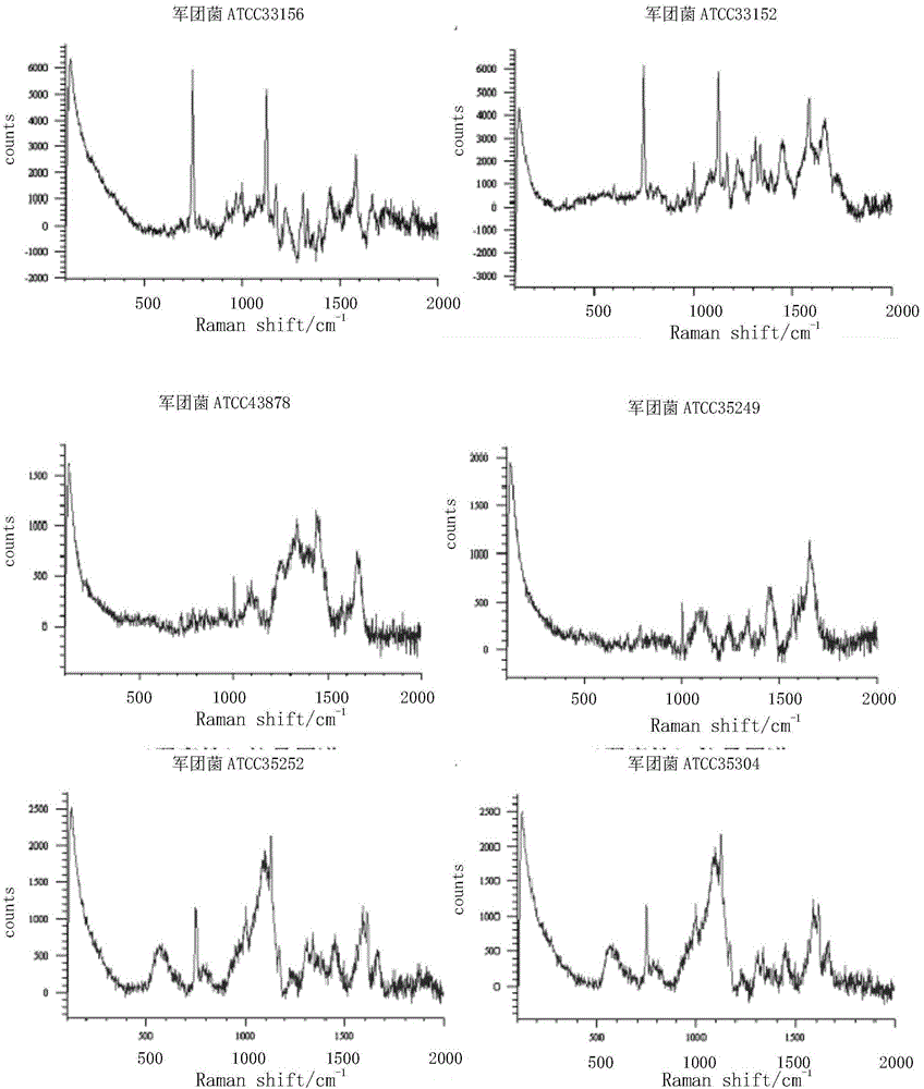 Method and special kit for authenticating legionella toxicity