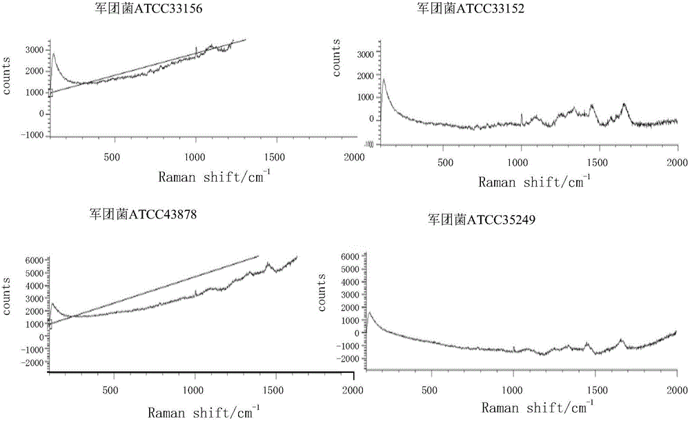 Method and special kit for authenticating legionella toxicity