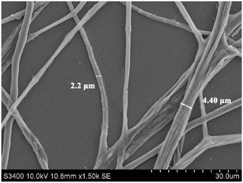 Alternaria alternata strain and application thereof in resisting pathogenic bacteria of potato ring rot