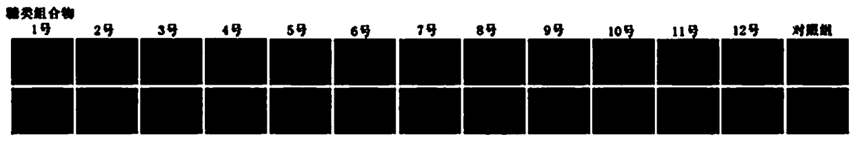 Carbohydrate composition with wound healing promoting effect and application of carbohydrate composition