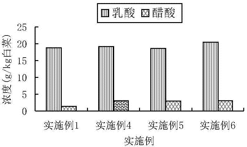 Acetic acid type pickled Chinese cabbage composite leavening agent, preparation method thereof and application