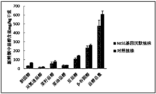 Tobacco squalene epoxidase protein, tobacco squalene epoxidase gene and applications of tobacco squalene epoxidase gene