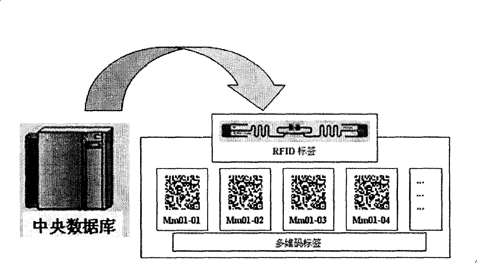 Article anti-counterfeiting system combining radio frequency identification and two-dimension code