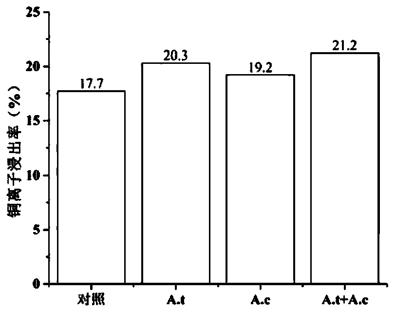 Method for promoting biological column leaching of poor chalcocite