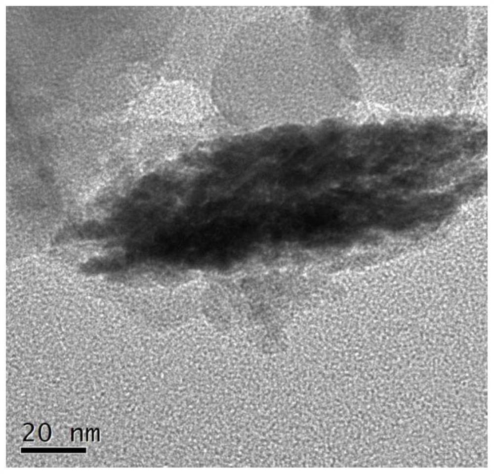 A conductive polymer composite material under the action of a magnetic field and its preparation method