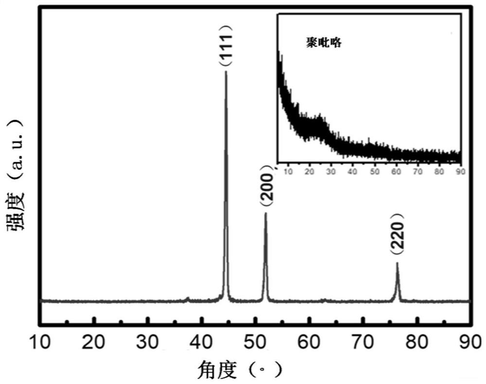 A conductive polymer composite material under the action of a magnetic field and its preparation method