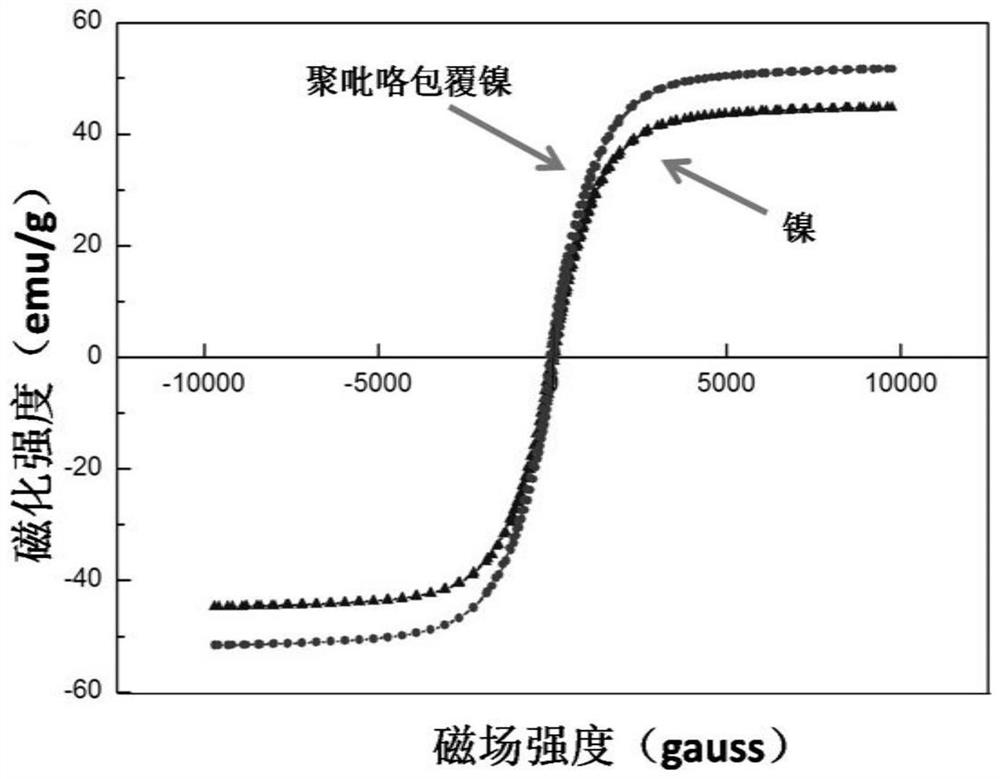 A conductive polymer composite material under the action of a magnetic field and its preparation method