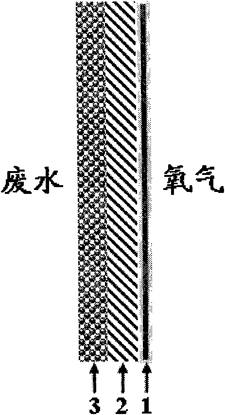 2-ethyl-anthraquinone modified gas diffusion electrode and preparation method thereof