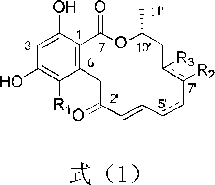 Application of β-resorcinol macrolide in prevention and control of harmful snails