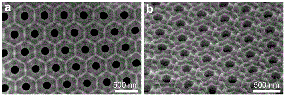 Ordered nanostructured precious metal array, and preparation method and use thereof