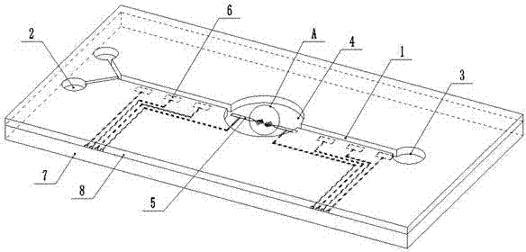 Micro-fluidic chip having nano dendrite Raman substrate and manufacturing method thereof