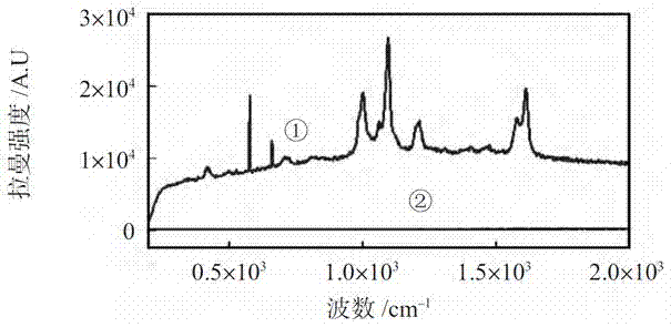 Micro-fluidic chip having nano dendrite Raman substrate and manufacturing method thereof