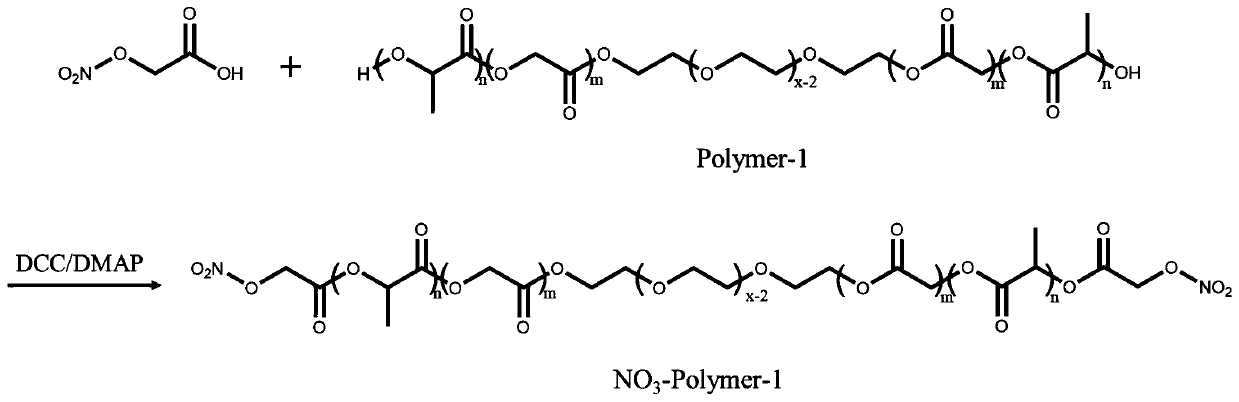 Nitric oxide donor modified copolymer, sustained release preparation containing same, and preparation method and application thereof