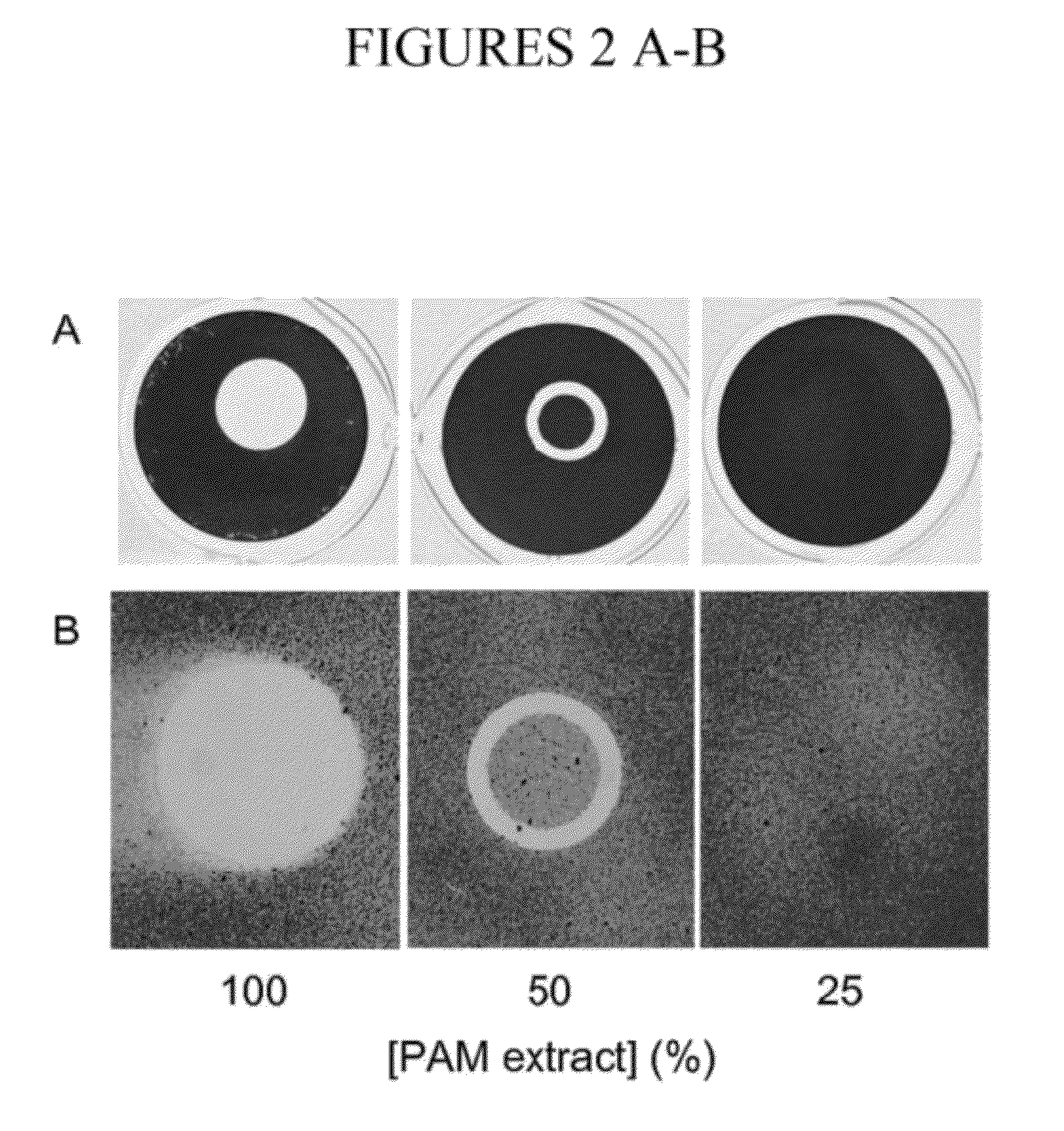 Biofilm inhibiting composition