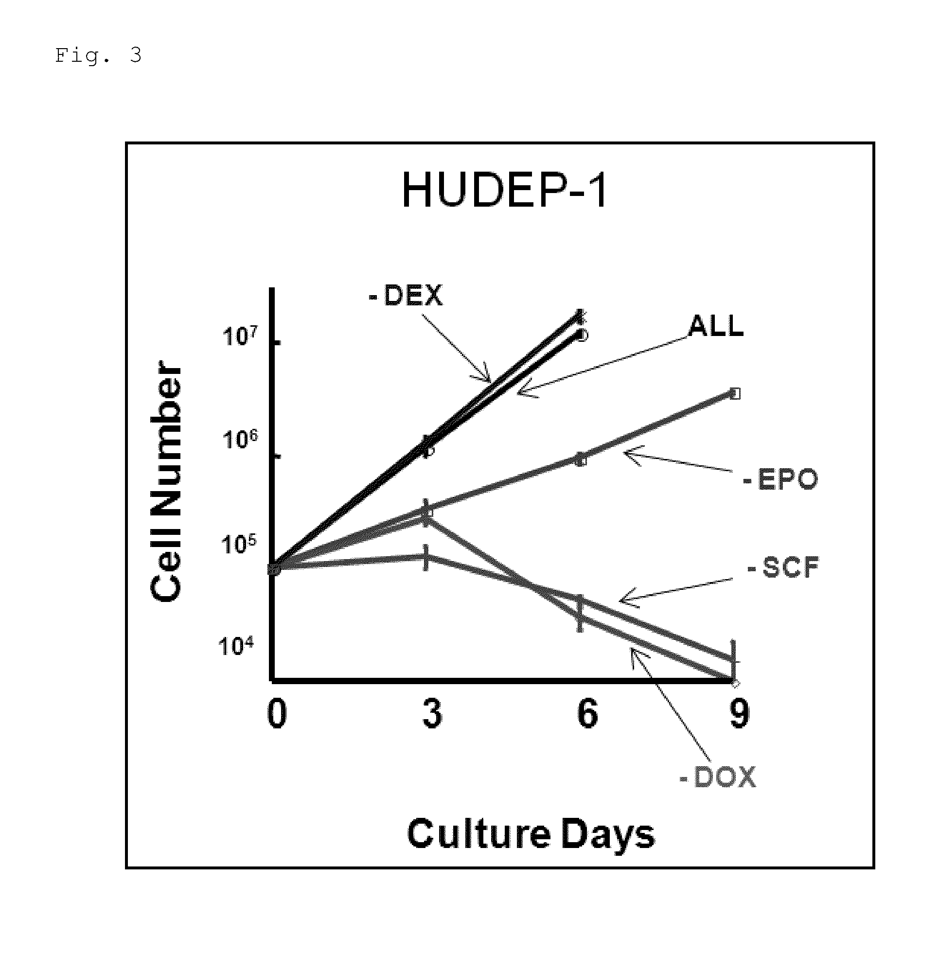 Human erythroid progenitor cell line comprising HPV E6/E7 operably linked to an inducible promoter and method for producing human enucleated red blood cells