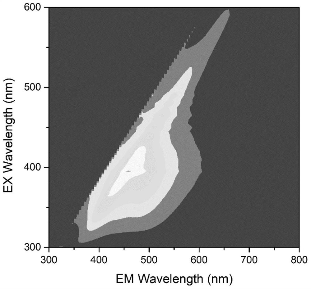 Fluorescent antibacterial polymer material as well as preparation method and application thereof