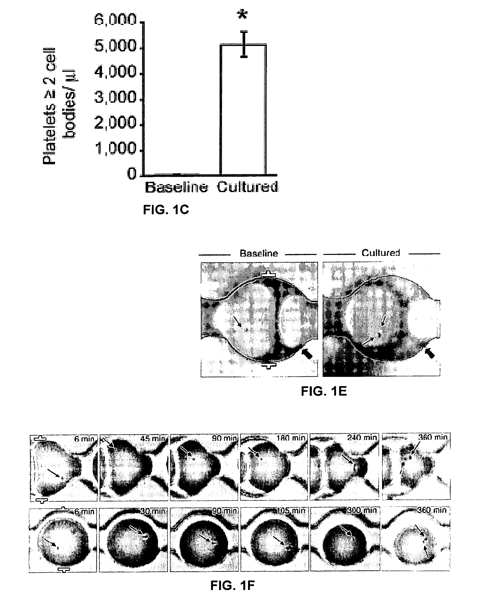 Terminally-differentiated anucleate platelet progeny generation