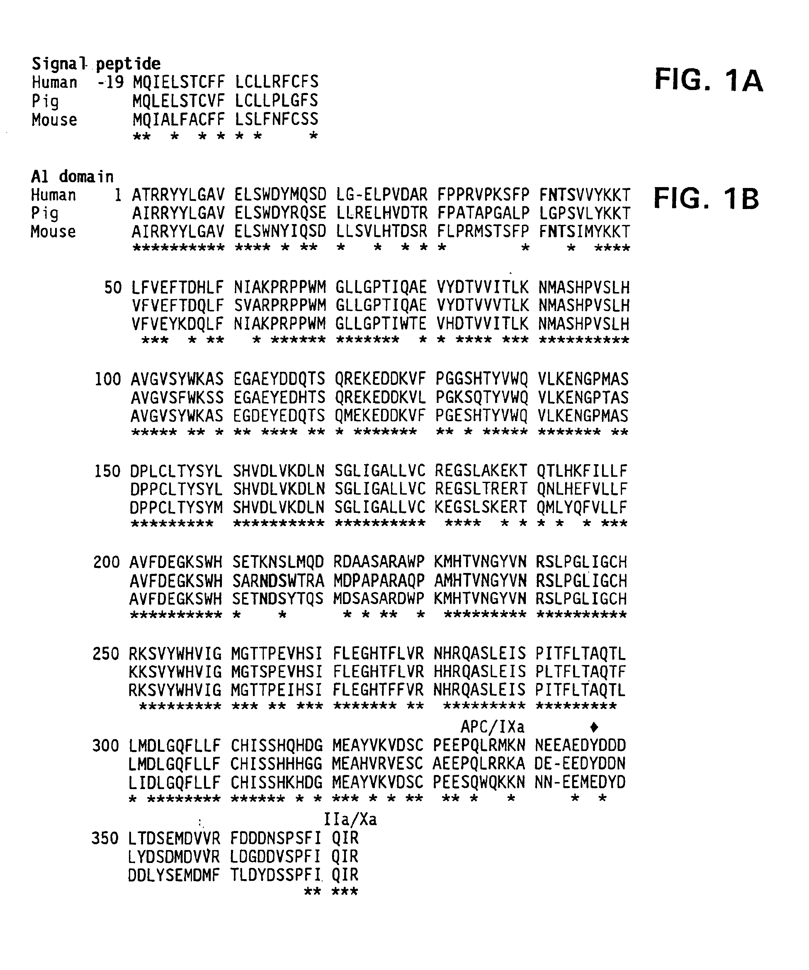 Nucleic acid molecules encoding modified factor VIII proteins, expression products, and methods of making the same