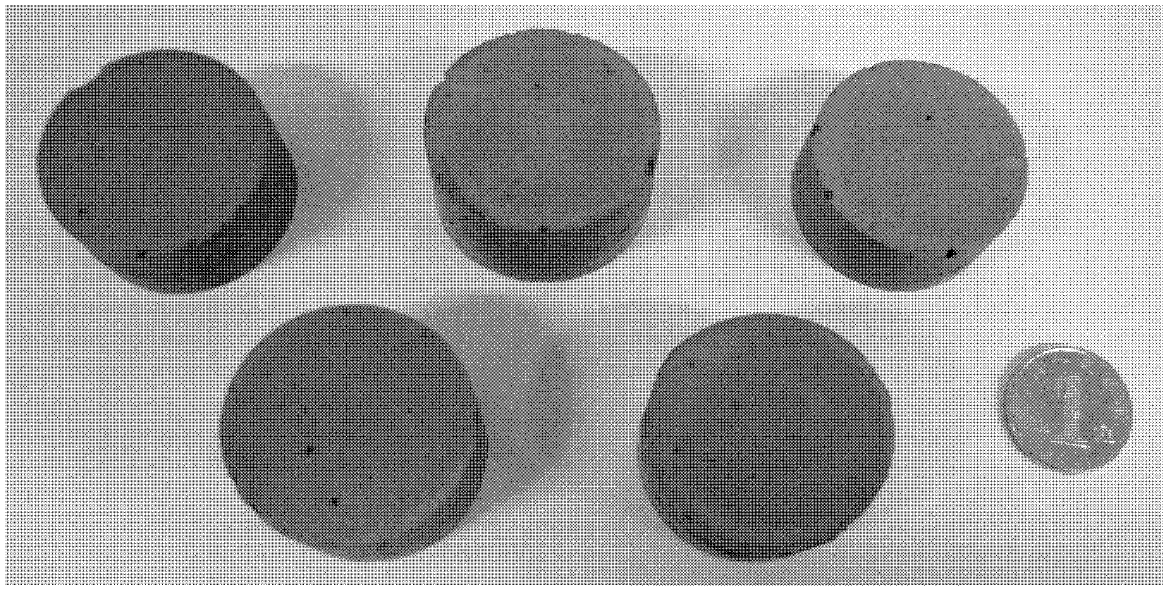 Conducting resin for scanning electronic microscope and preparation method thereof