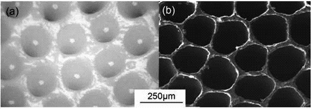 Preparation method of high-catalytic efficiency and recyclable photocatalyst