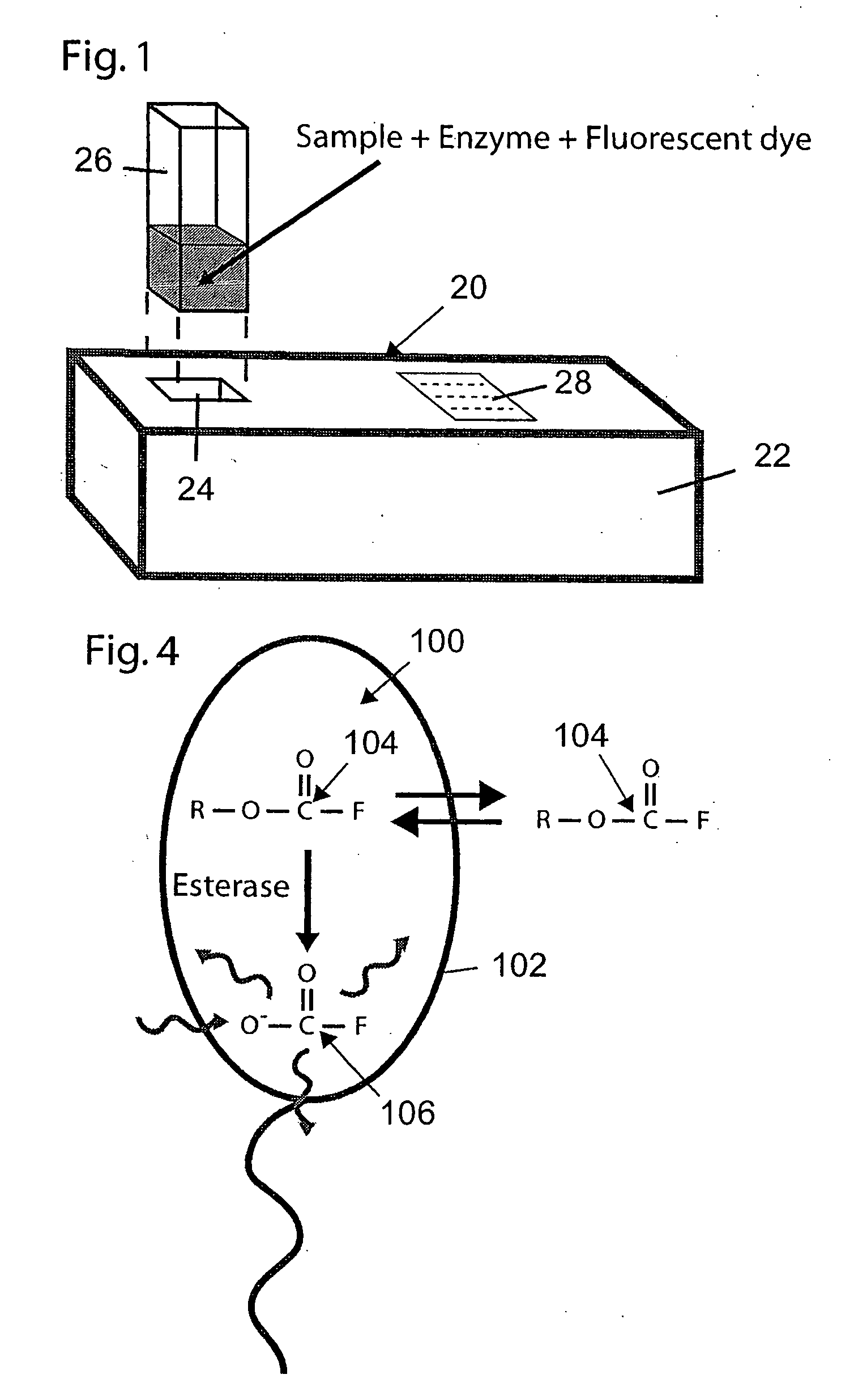 Male fertility assay method and device