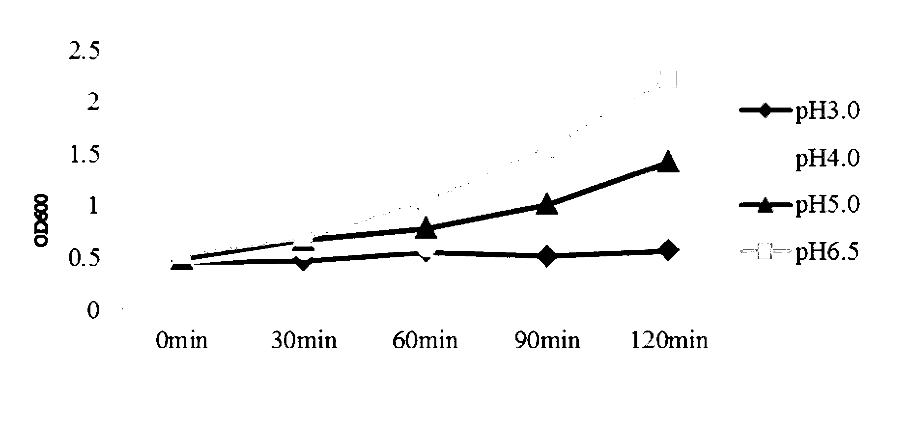 Lactobacillus salivarius strain and application thereof