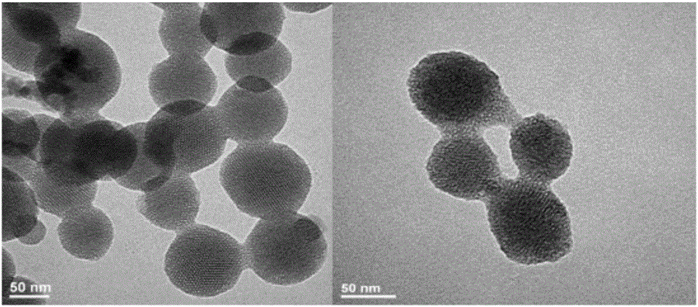 Chitosan affine heptapeptide and screening method and application thereof