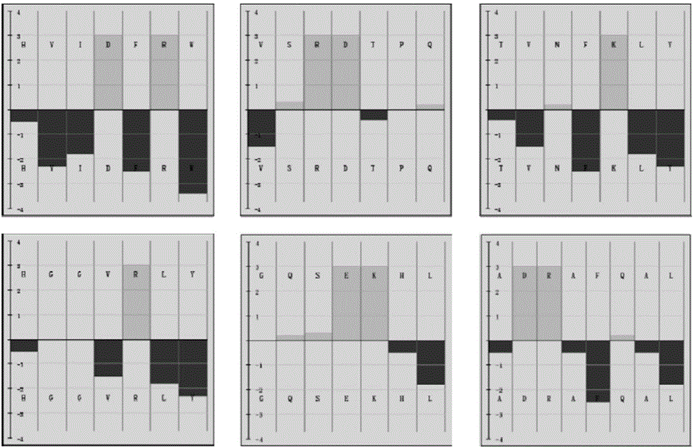 Chitosan affine heptapeptide and screening method and application thereof