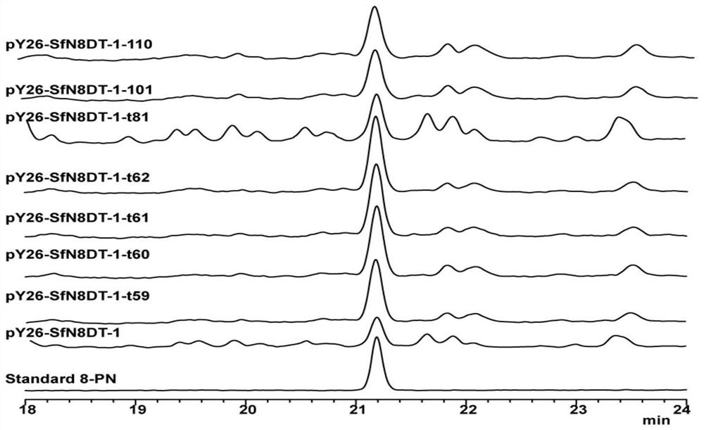 Truncated sophora flavescens isopentenyl transferase and application thereof