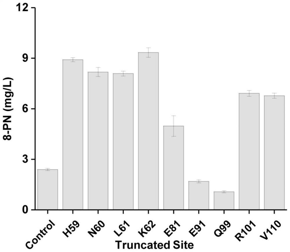 Truncated sophora flavescens isopentenyl transferase and application thereof