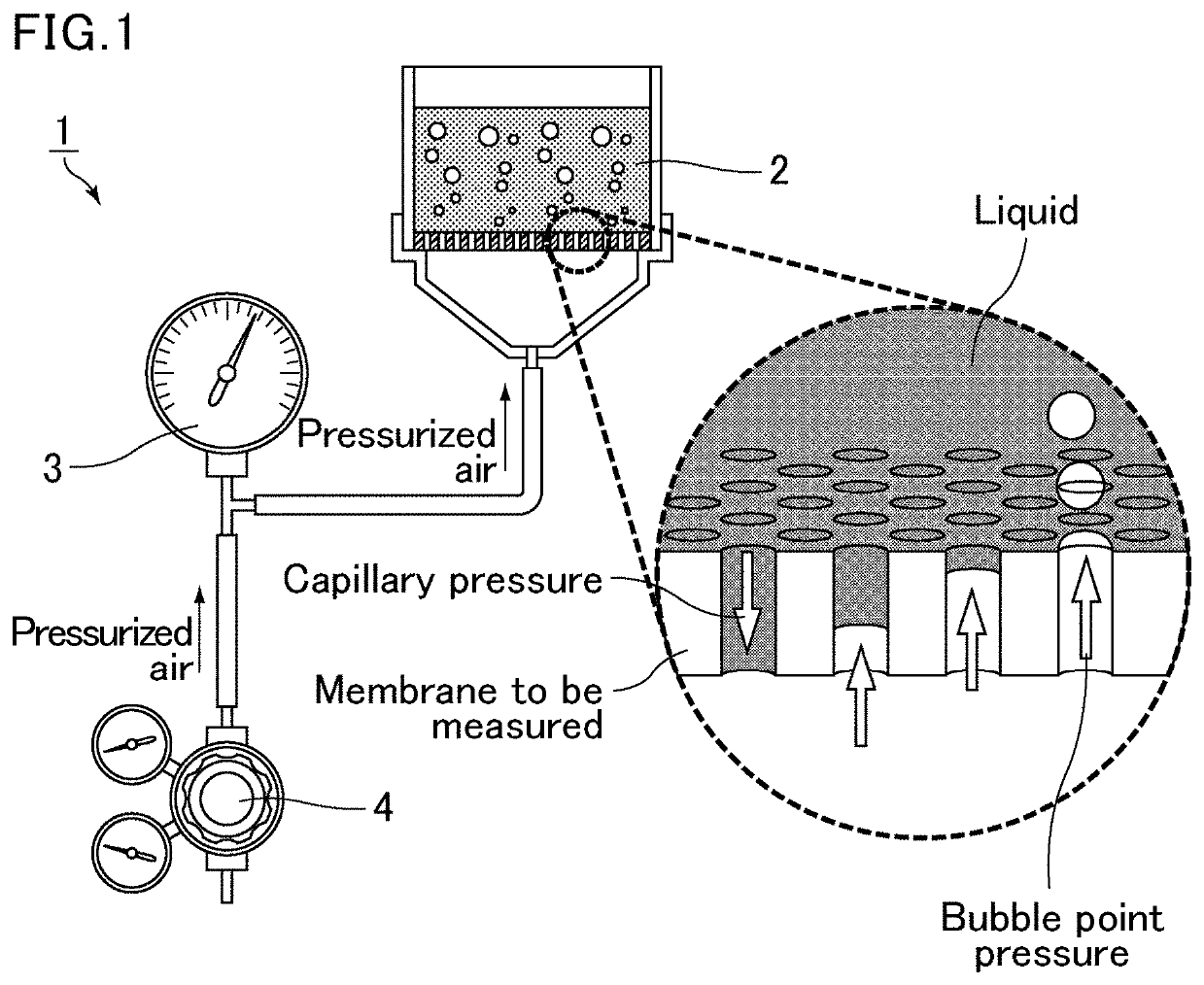 Cartilage tissue producing method and cartilage tissue