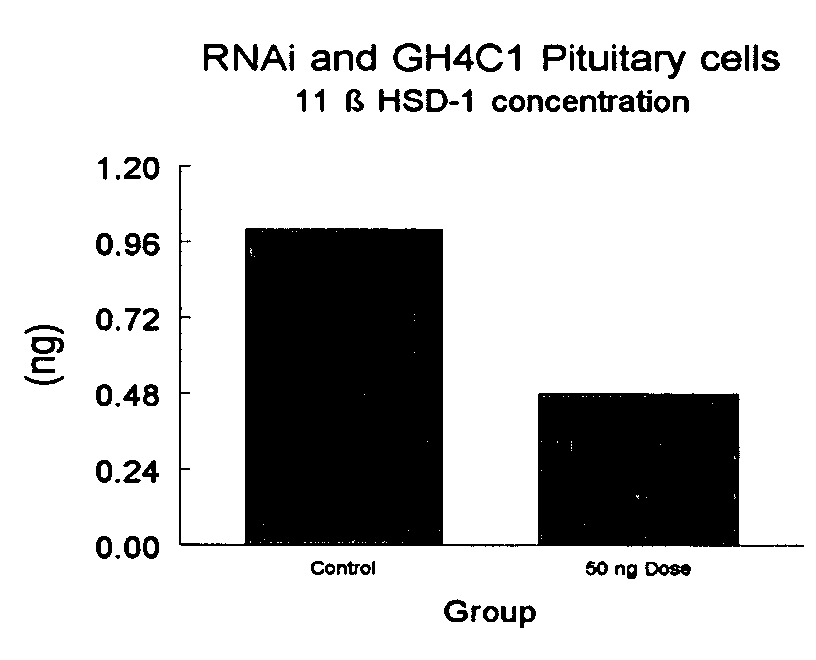 RNA interference mediated inhibition of 11beta hydroxysteriod dehydrogenase-1 (11beta HSD-1) gene expression