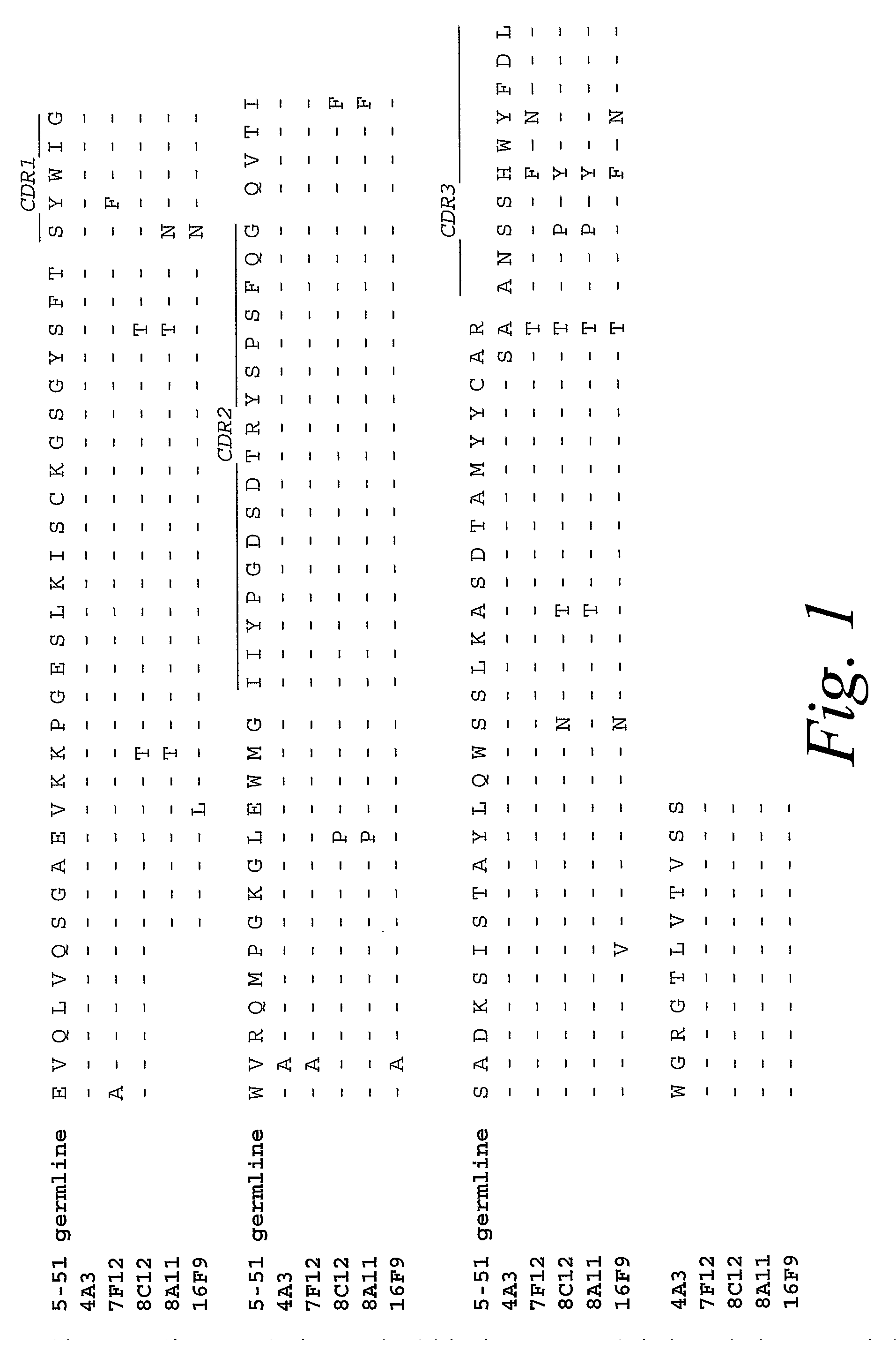 Monoclonal Antibodies Against Prostate Specific Membrane Antigen (PSMA) Lacking in Fucosyl Residues