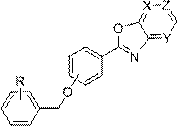 2-benzyloxyphenyloxazolopyridine compound and medicinal application thereof