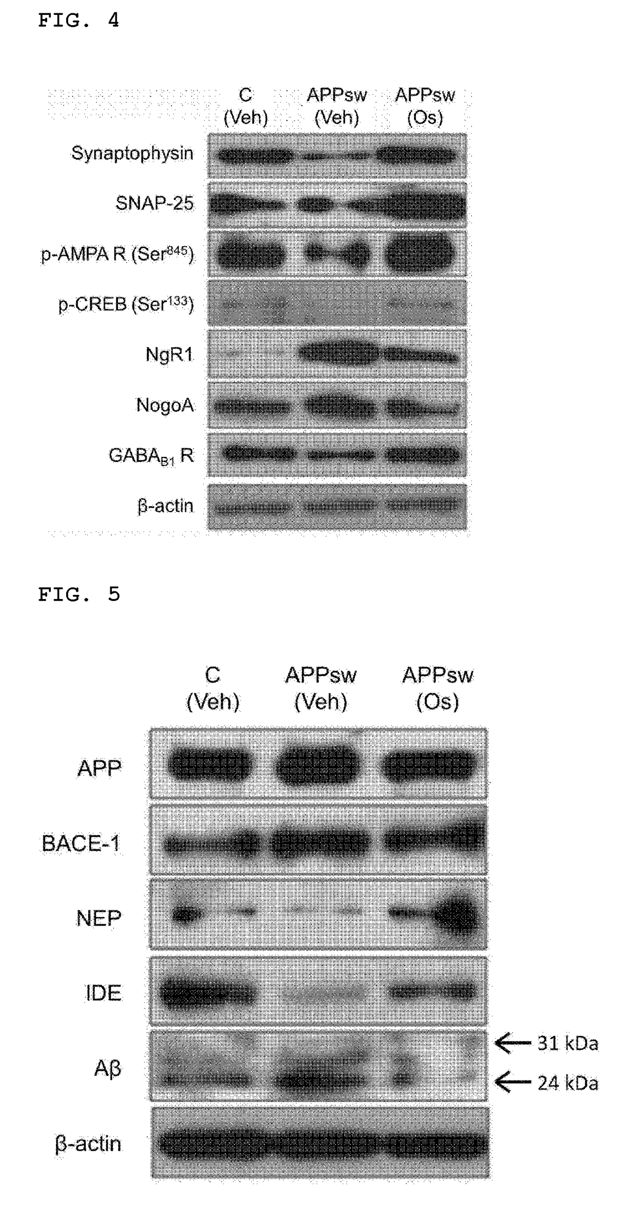 Novel pharmaceutical composition for treating alzheimer's disease