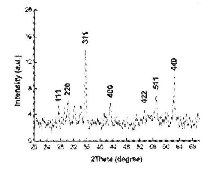 Method for preparing superparamagnetic Fe3O4 nano particle based on thermal decomposition of template