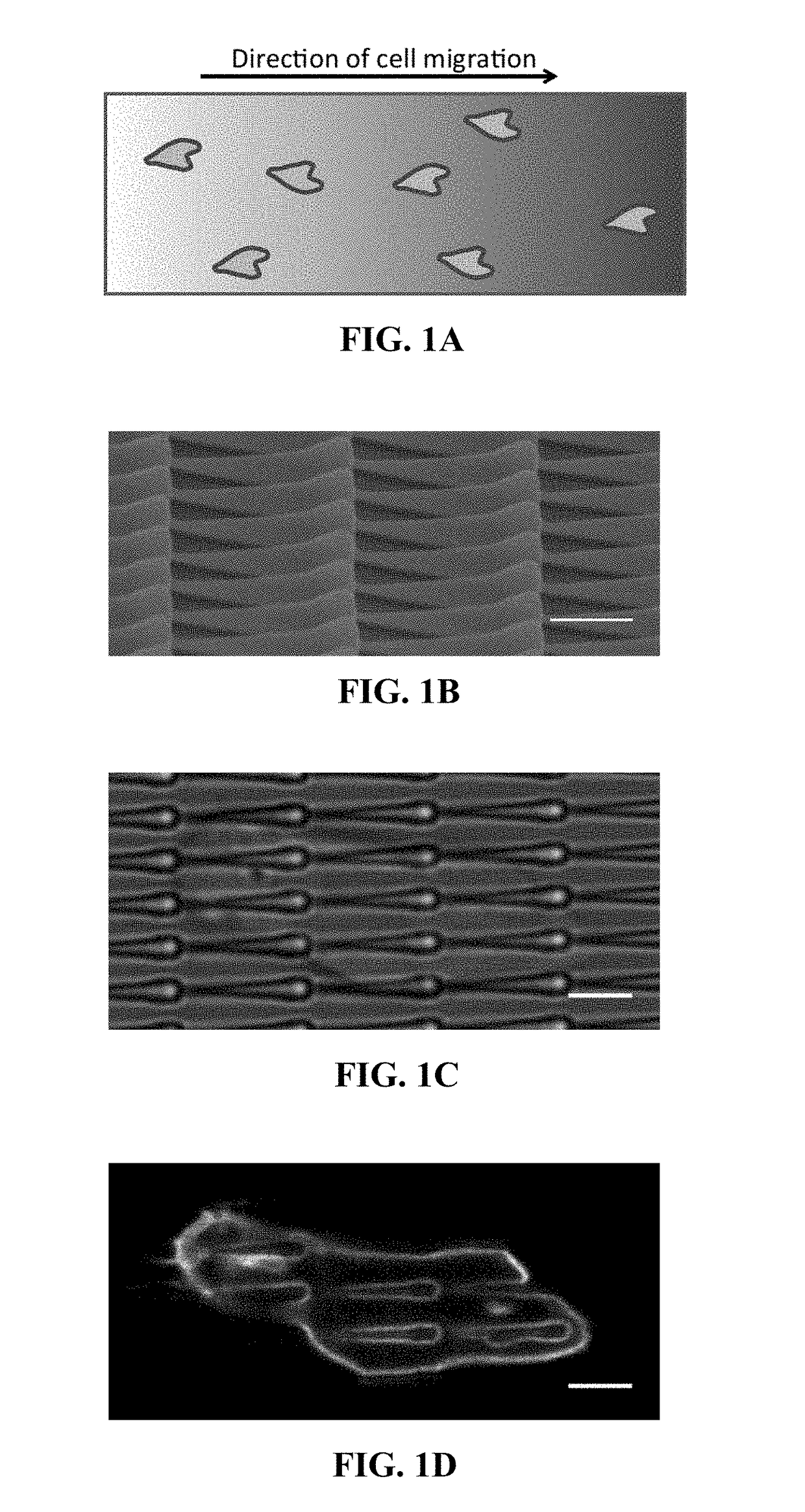 Compositions comprising textured patterns and methods of using the same