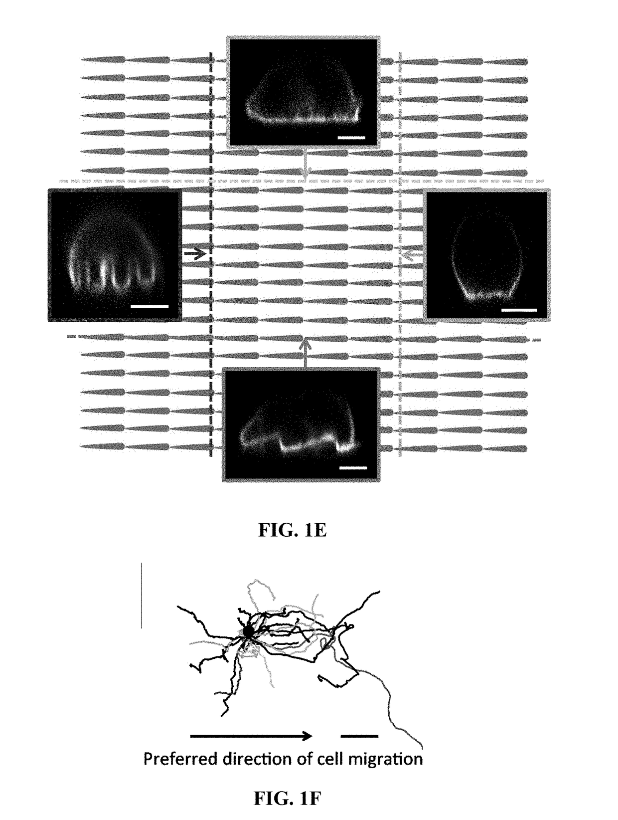 Compositions comprising textured patterns and methods of using the same