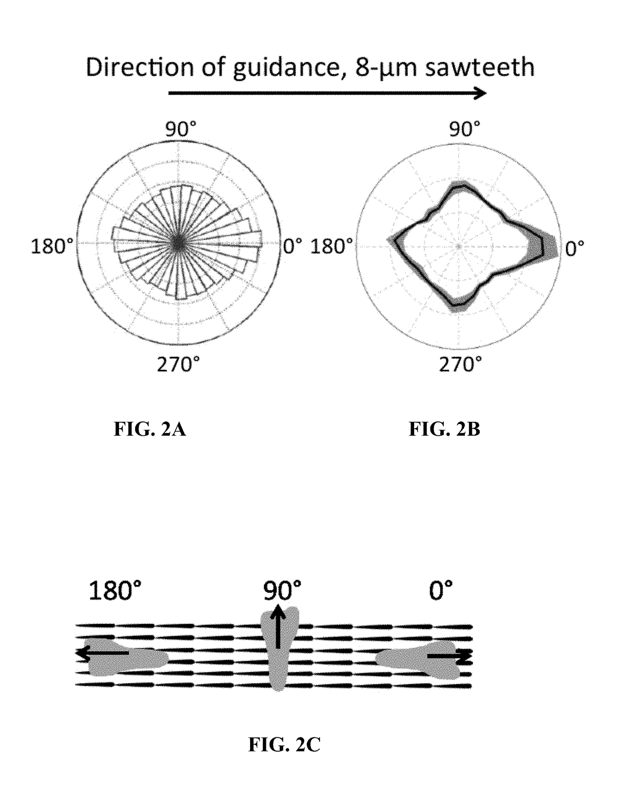 Compositions comprising textured patterns and methods of using the same