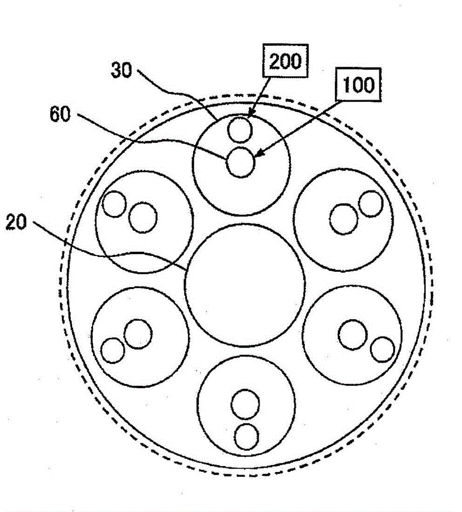 Dual-Fuel Burning Gas Turbine Combustor