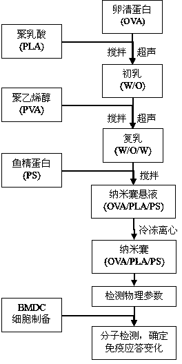 Protein peptide vaccine carrying system and preparing method thereof