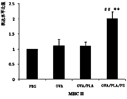 Protein peptide vaccine carrying system and preparing method thereof