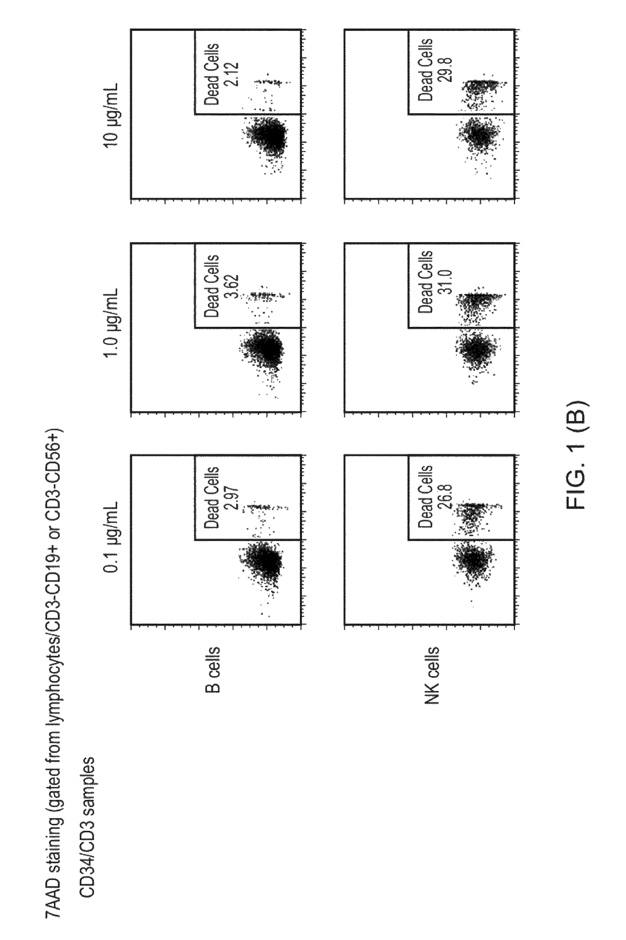 Bispecific antibodies for use in stem cell transplantation