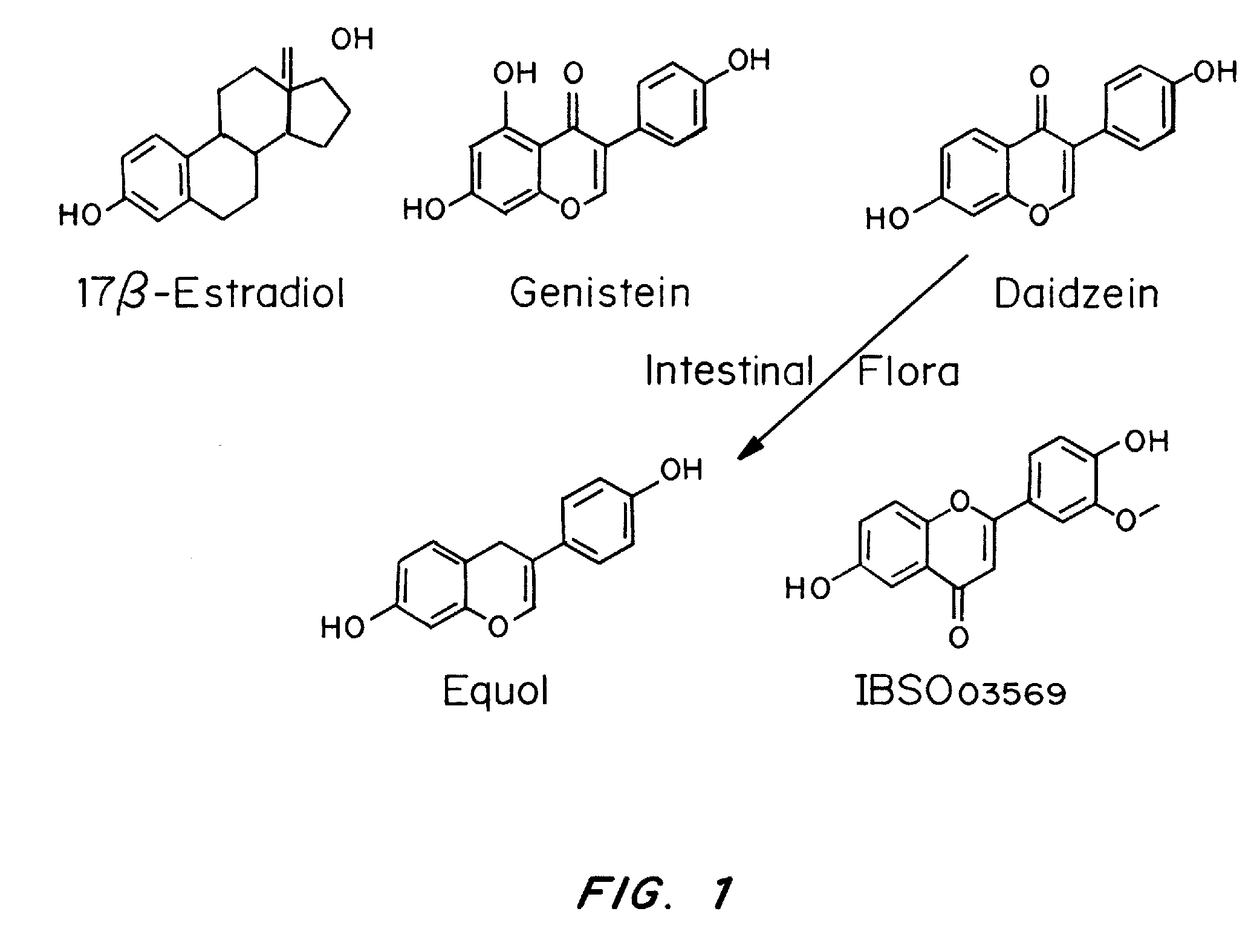 Phytoestrogenic formulations for alleviation or prevention of menopausal symptoms