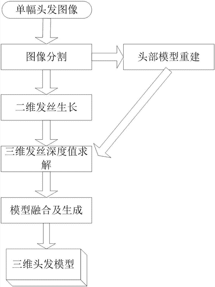 Single image hair reconstructing method based on matching of direction field and helixes