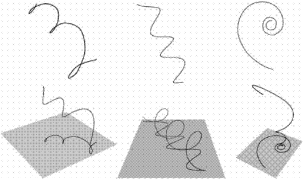 Single image hair reconstructing method based on matching of direction field and helixes