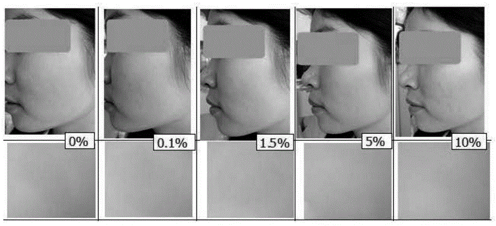 Application of snail secretion filtrate in improving skin pasting performance of make-up products