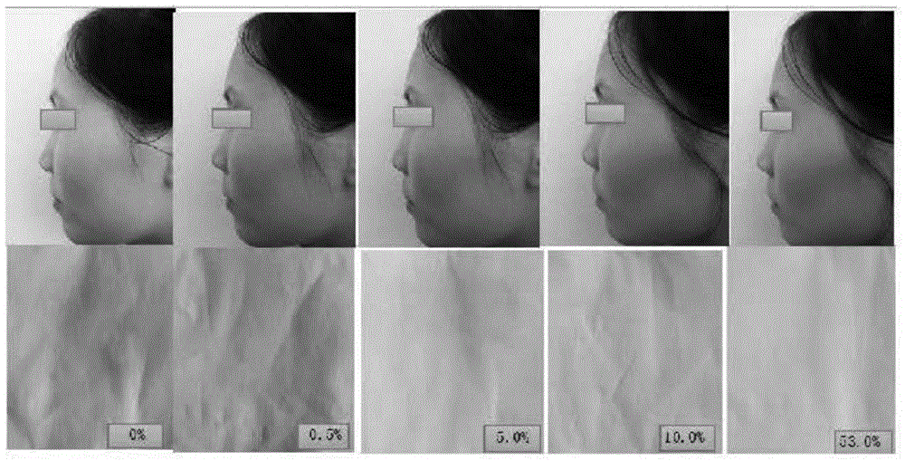 Application of snail secretion filtrate in improving skin pasting performance of make-up products